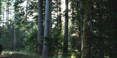 img8732.jpg picture by AnaisSatin